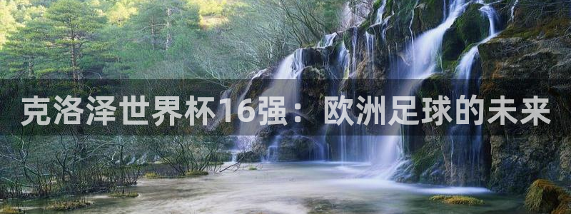 世界杯决赛直播：克洛泽世界杯16强：欧洲足球的未来