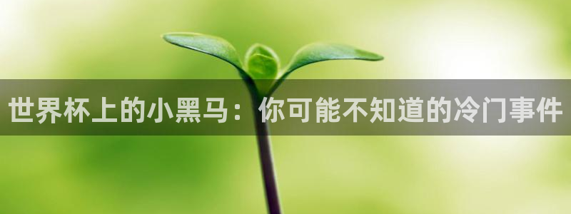 英足总杯直播：世界杯上的小黑马：你可能不知道的冷门事件