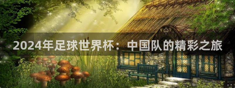 男足世界杯预选赛赛程：2024年足球世界杯：中国队的精彩之旅
