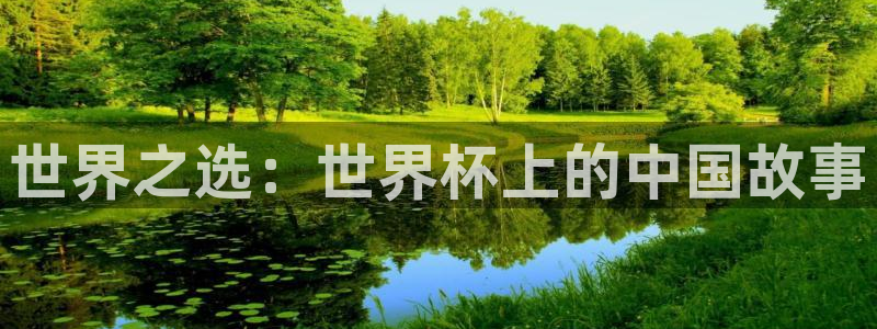 世界杯对阵表：世界之选：世界杯上的中国故事