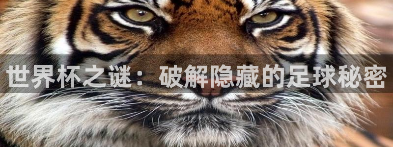 2026年世界杯赛程时间表格：世界杯之谜：破解隐藏的足球秘密
