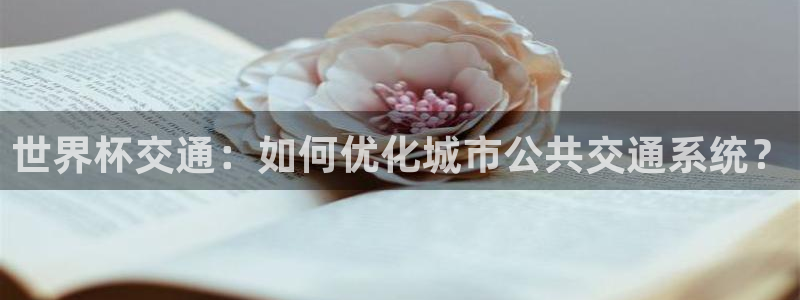 世界杯 赛程：世界杯交通：如何优化城市公共交通系统？