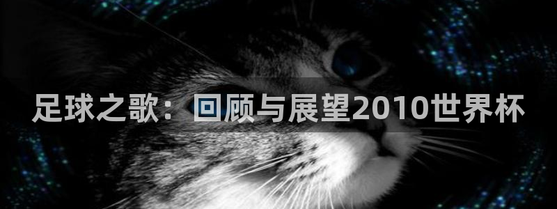 26世界杯：足球之歌：回顾与展望2010世界杯