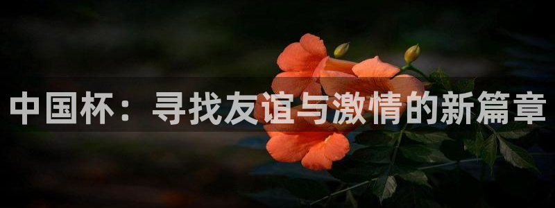 欧洲区世界杯预选赛：中国杯：寻找友谊与激情的新篇章