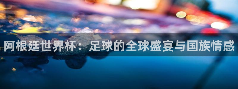 2006世界杯：阿根廷世界杯：足球的全球盛宴与国族情感