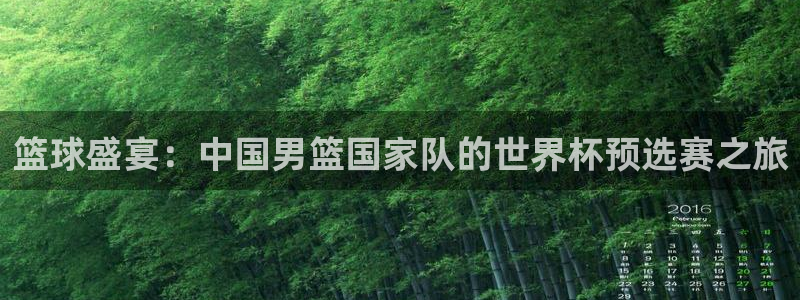 世界杯比赛赛程：篮球盛宴：中国男篮国家队的世界杯预选赛之旅