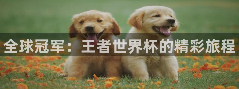 世界杯足球赛2026赛程时间：全球冠军：王者世界杯的精彩旅程