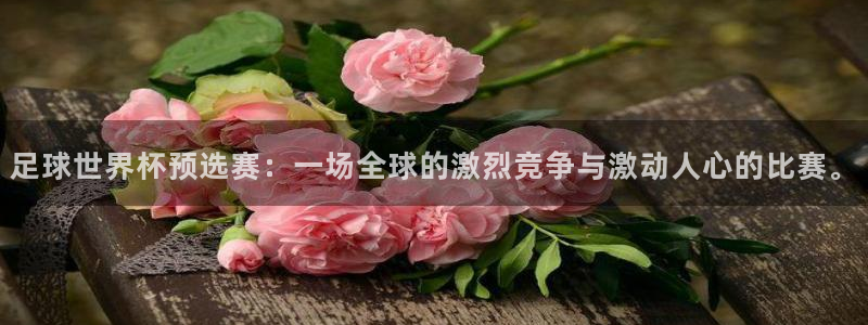 2026年世界杯赛程：足球世界杯预选赛：一场全球的激烈竞争与激动人心的比赛。
