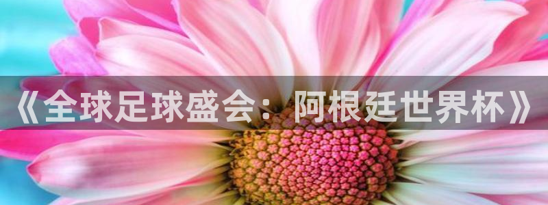 世界杯亚洲区预选赛积分榜：《全球足球盛会：阿根廷世界杯》