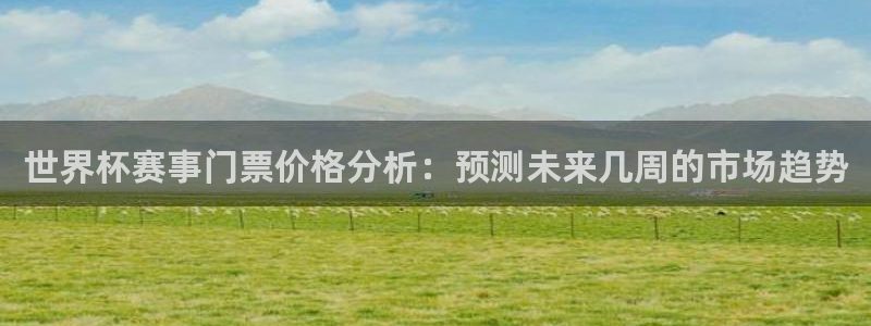 世预赛免费直播入口：世界杯赛事门票价格分析：预测未来几周的市场趋势